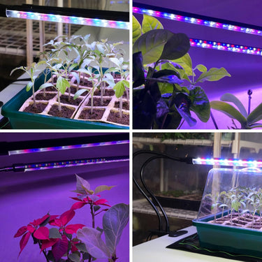 Perfect for seedlings, flowering plants, and indoor gardens of any size.